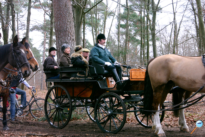 Calèche en Forêt